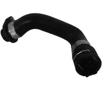 Sasic Flessibile radiatore 3406170 - Tubo sistema di raffreddamento per BMW