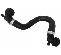 Tubo flessibile del radiatore SASIC 3400135