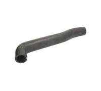 Tubo sistema di raffreddamento DWW112TT THERMOTEC per AUDI VW