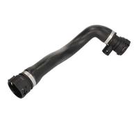THERMOTEC Tubo flessibile radiatore DWB053TT per BMW X5 (E53) 4.4 2000-2003 Dx