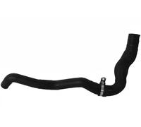Tubo sistema di raffreddamento Dx in alto 3404120 SASIC per RENAULT LAGUNA III