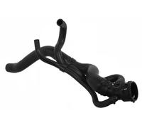 Sasic Tubo flessibile del radiatore 3406164 per VW Passat B6 Variant destro in alto