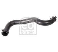 FEBI BILSTEIN 106210 Flessibile radiatore