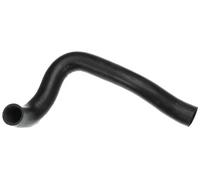 Tubo flessibile del radiatore GATES 05-3258