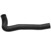 Tubo flessibile del radiatore GATES 3626