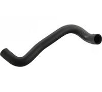 Tubo flessibile del radiatore FEBI BILSTEIN 11666