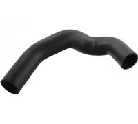 Tubo flessibile del radiatore FEBI BILSTEIN 12095