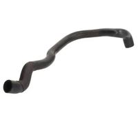 Tubo flessibile del radiatore THERMOTEC DWW022TT
