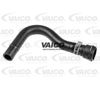 Tubo sistema di raffreddamento inferiore V10-5535 VAICO per VW AUDI SEAT SKODA
