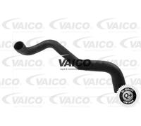 Tubo sistema di raffreddamento inferiore V30-0713 VAICO per MERCEDES-BENZ