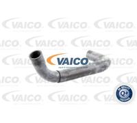 Tubo sistema di raffreddamento inferiore V30-0718 VAICO per MERCEDES-BENZ