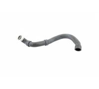 VAICO Flessibile radiatore V30-1661 per Mercedes-Benz A2035012782