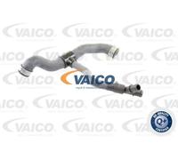 Tubo sistema di raffreddamento inferiore V30-2231 VAICO per MERCEDES-BENZ