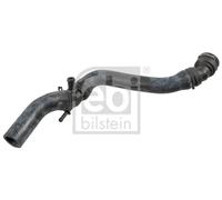 Tubo sistema di raffreddamento Superiore 170955 FEBI BILSTEIN per AUDI SKODA VW