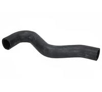 Tubo flessibile del radiatore IMPERGOM 228018