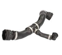 Thermotec Tubo radiatore flessibile DWB147TT superiore per BMW Serie 1 E81/E87 (116i,118i,120i)