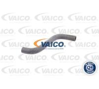 Tubo sistema di raffreddamento Superiore V30-1617 VAICO per MERCEDES-BENZ FIAT