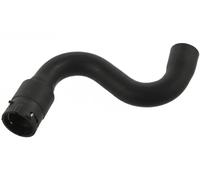 FEBI BILSTEIN 36278 Flessibile radiatore Sx Superiore