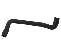 Sasic Flessibile radiatore 3406012 – Sinistro inferiore per Ford Focus