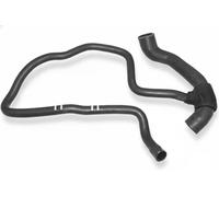 Sasic Tubo sistema di raffreddamento SWH6720 – Sx in basso – per Opel Corsa C