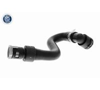 VAICO V25-2018 Flessibile radiatore