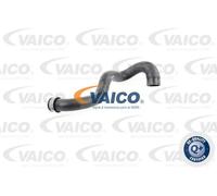 VAICO V30-1919 Flessibile radiatore