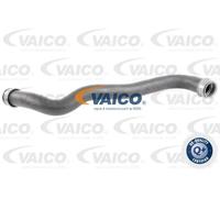Tubo flessibile del radiatore VAICO V30-2907