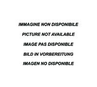 tubo sostituzione catalizzatore INOXCAR CITROEN C2 1.6 16V VTS 125CV 2003