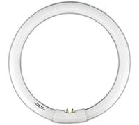 TUBO T5 CIRCOLARE 22 W CON 4 PIN GUARDA ALL'INTERNO