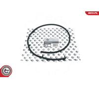 ESEN SKV 54SKV308 Flessibile, Carburante perso