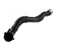 Tubo Turbo Gaine Suralimentazione Per BMW X1 E84 Z4 E89 13717607941