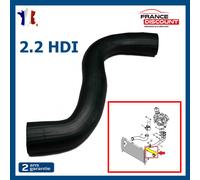 Tubo Turbo Per Peugeot 407 Citroën C5 C6 2.2 HDi 170/175Cv - 0382HG