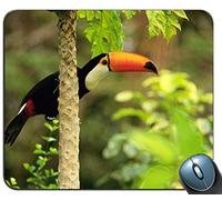 Tucano toco nella foresta tropicale Mouse pad rettangolo personalizzato, gomma antiscivolo stampata Confortevole mouse pad per computer Mouse pad tappetino per mouse personalizzato