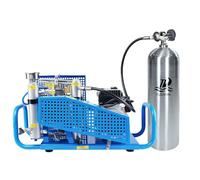 TUDIVING-4500Psi Compressore d'aria subacquea, compressore d'aria Pcp, compressore subacqueo ad alta pressione per il riempimento del serbatoio subacqueo/pistola ad aria compressa (220V Automatic)