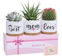 TuDou Regali per la mamma, festa della mamma, regalo di compleanno per mamma da figlia figlio bambini bambino, vaso unico in ceramica per piante grasse per interni ed esterni, regalo per ogni
