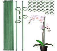 TUIBEIDAMAI 45 bastoncini per orchidee,supporto per piante,supporto per piante da interno,supporto per piante, piante da camera in plastica,per stabilizzare le piante, supporto per fiori (Verde/45)