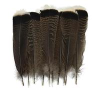 TUITA 10 pz/Lotto Aquila Naturale Uccelli Piuma Decor Lungo Grande Tacchino Piume per L'artigianato Plumas Carnevale Accessori Decorazione di Cerimonia Nuziale