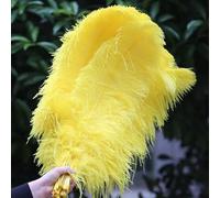 TUITA 10 pz/Lotto Eleganti Piume di Struzzo Naturale 45-50 cm per Le Mestieri di Nozze Rifornimenti del Partito di Carnevale Ballerino Decorazione Piumaggi
