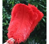 TUITA 10 pz/Lotto Eleganti Piume di Struzzo Naturale 45-50 cm per Le Mestieri di Nozze Rifornimenti del Partito di Carnevale Ballerino Decorazione Piumaggi