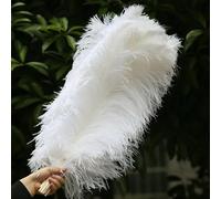 TUITA 10 pz/Lotto Eleganti Piume di Struzzo Naturale 45-50 cm per Le Mestieri di Nozze Rifornimenti del Partito di Carnevale Ballerino Decorazione Piumaggi