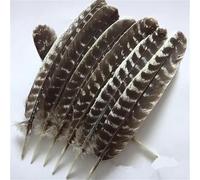TUITA Piume d'aquila Naturali 10-16 Pollici (20-40 cm) Aquila Uccello Tacchino Piuma di Fagiano per l'artigianato Decorazione di Nozze Fai da Te Pennacchi