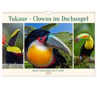 Tukane - Clowns im Dschungel (Wandkalender 2027 DIN A4 quer), CALVENDO Monatskal