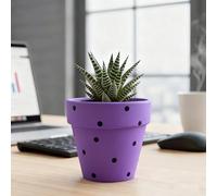 TUKRKRS Cute White Polka DOT Ceramic Planter with Drainage - Small Round Flower Pot for Succulents, Herbs, And Cactus - Modern Indoor Garden Decor for Desk And Windowsill(Purple)