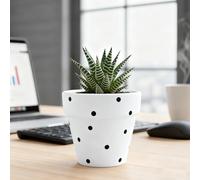 TUKRKRS Cute White Polka DOT Ceramic Planter with Drainage - Small Round Flower Pot for Succulents, Herbs, And Cactus - Modern Indoor Garden Decor for Desk And Windowsill(Bianco)