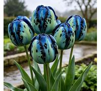 Tulipani rari/tulipani/decorazioni per la casa vintage-10 pcs-A