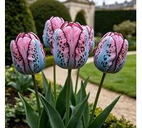 Tulipani rari/tulipani/decorazioni per la casa vintage-10 pcs-G