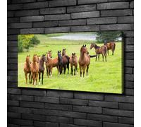 Tulup Dipinto Su Tela Pittura Su Un Muro 100x50cm - Mandria Cavalli In Prato