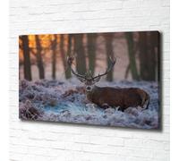 Tulup Dipinto Su Tela Pittura Su Un Muro 100x70cm - Cervo All'alba