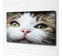 Tulup Dipinto Su Tela Pittura Su Un Muro 100x70cm - Occhi Di Gatto Verdi