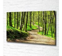 Tulup Dipinto Su Tela Pittura Su Un Muro 100x70cm - Sentiero Nel Bosco